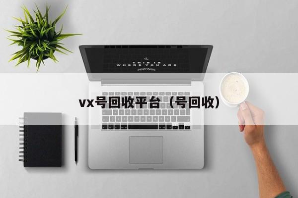 vx号回收平台（号回收）